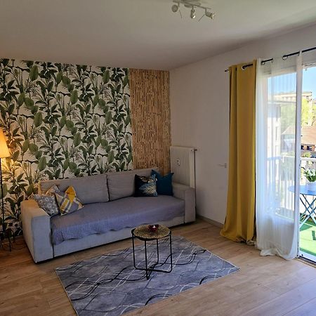 Paradise Apartment Near Downtown Lake & Free Parking - Local Bike アヌシー エクステリア 写真