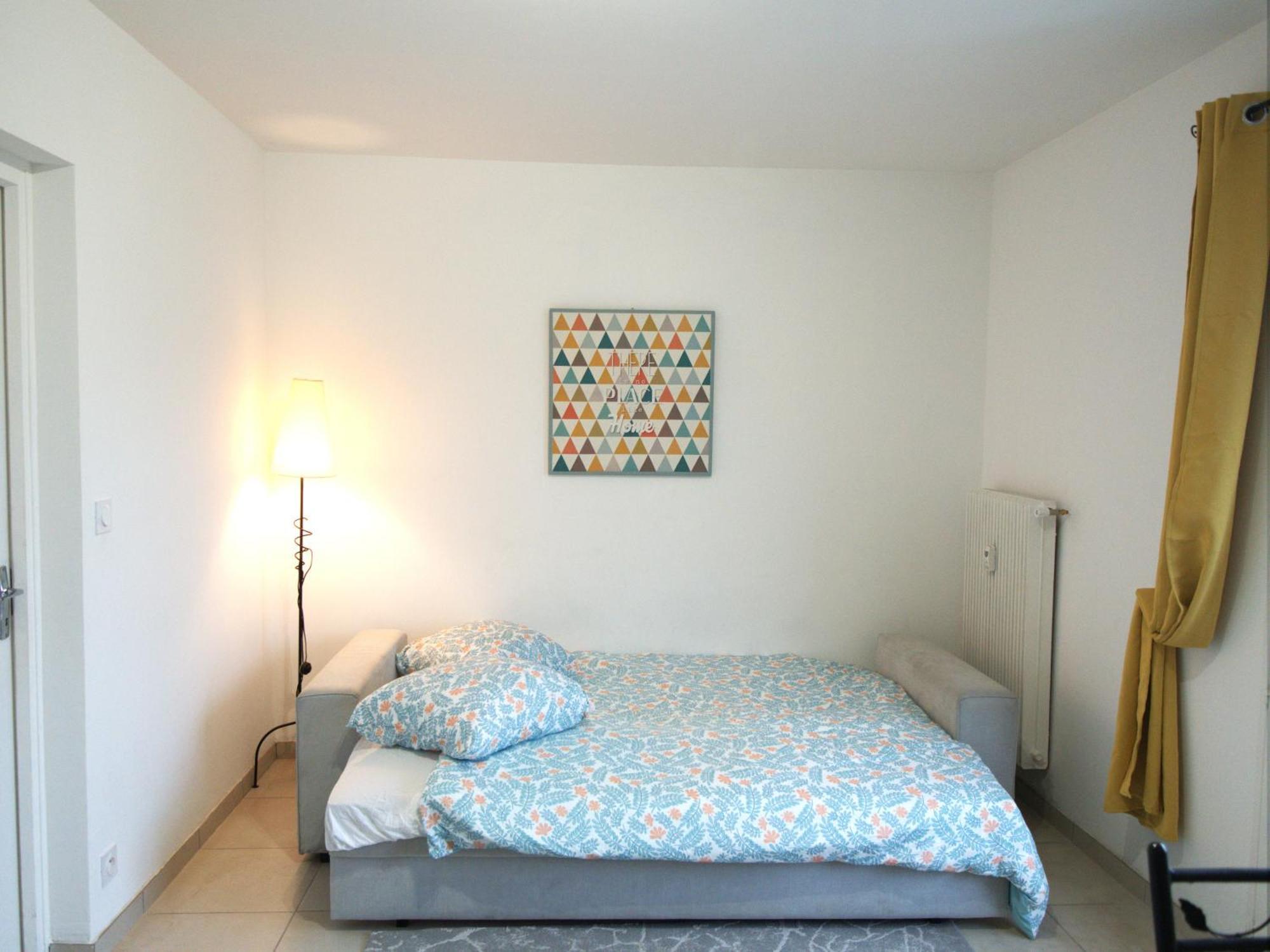 Paradise Apartment Near Downtown Lake & Free Parking - Local Bike アヌシー エクステリア 写真
