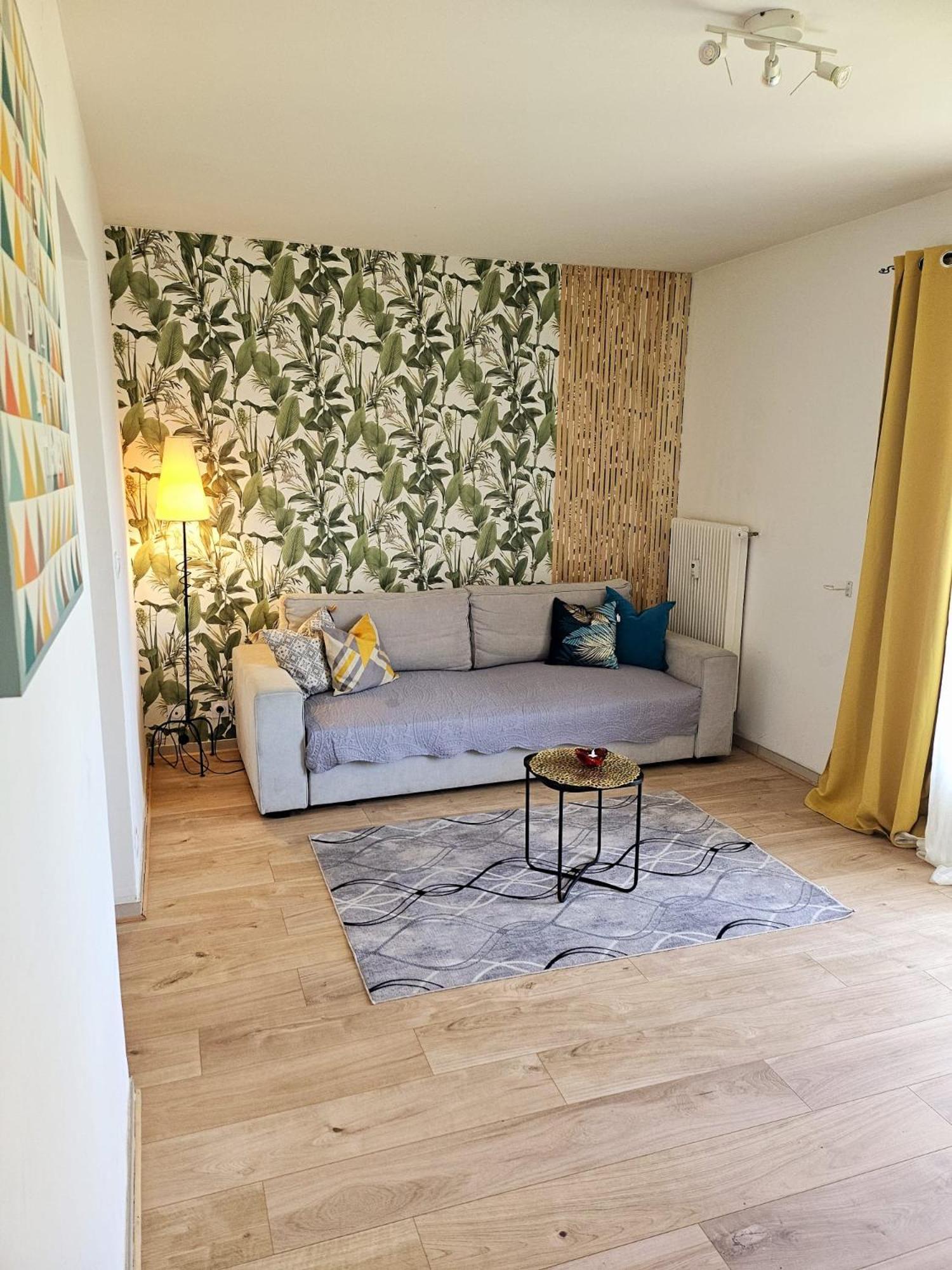 Paradise Apartment Near Downtown Lake & Free Parking - Local Bike アヌシー エクステリア 写真